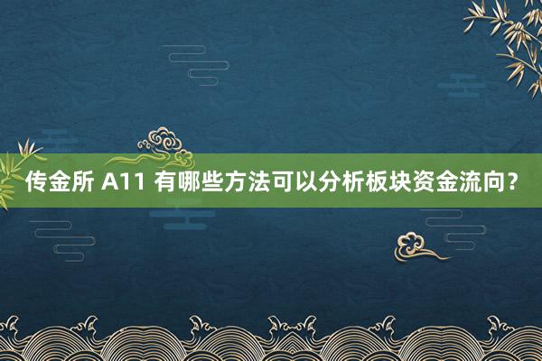 传金所 A11 有哪些方法可以分析板块资金流向？