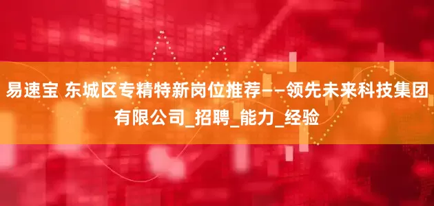 易速宝 东城区专精特新岗位推荐——领先未来科技集团有限公司_招聘_能力_经验