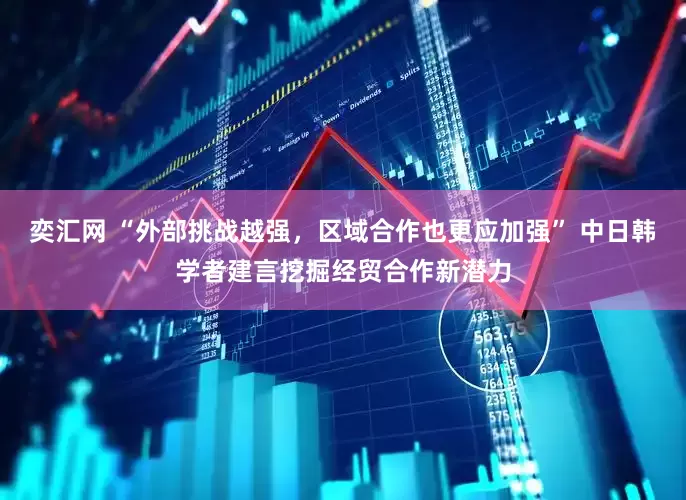 奕汇网 “外部挑战越强，区域合作也更应加强” 中日韩学者建言挖掘经贸合作新潜力