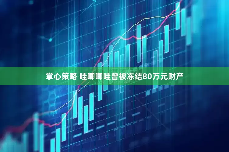 掌心策略 哇唧唧哇曾被冻结80万元财产