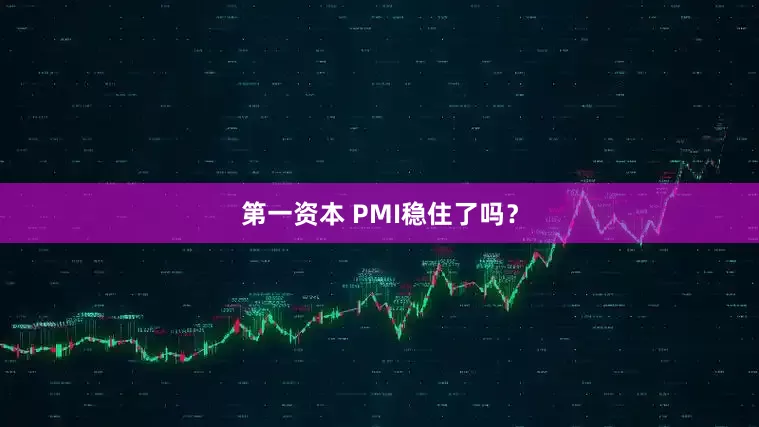 第一资本 PMI稳住了吗？