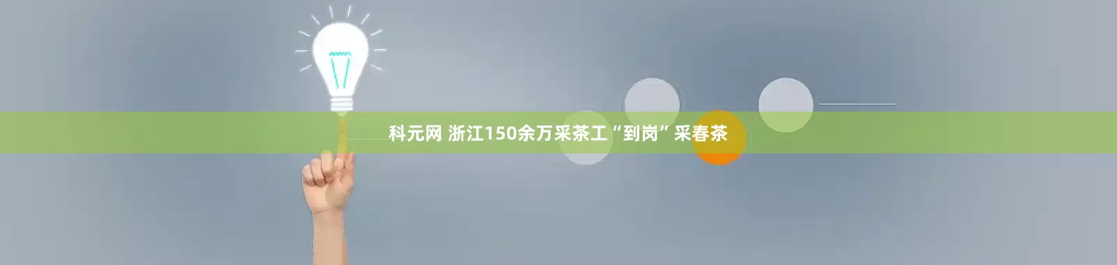 科元网 浙江150余万采茶工“到岗”采春茶