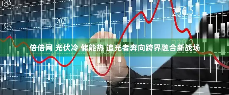 倍倍网 光伏冷 储能热 追光者奔向跨界融合新战场